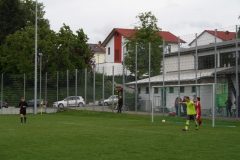 img_8648